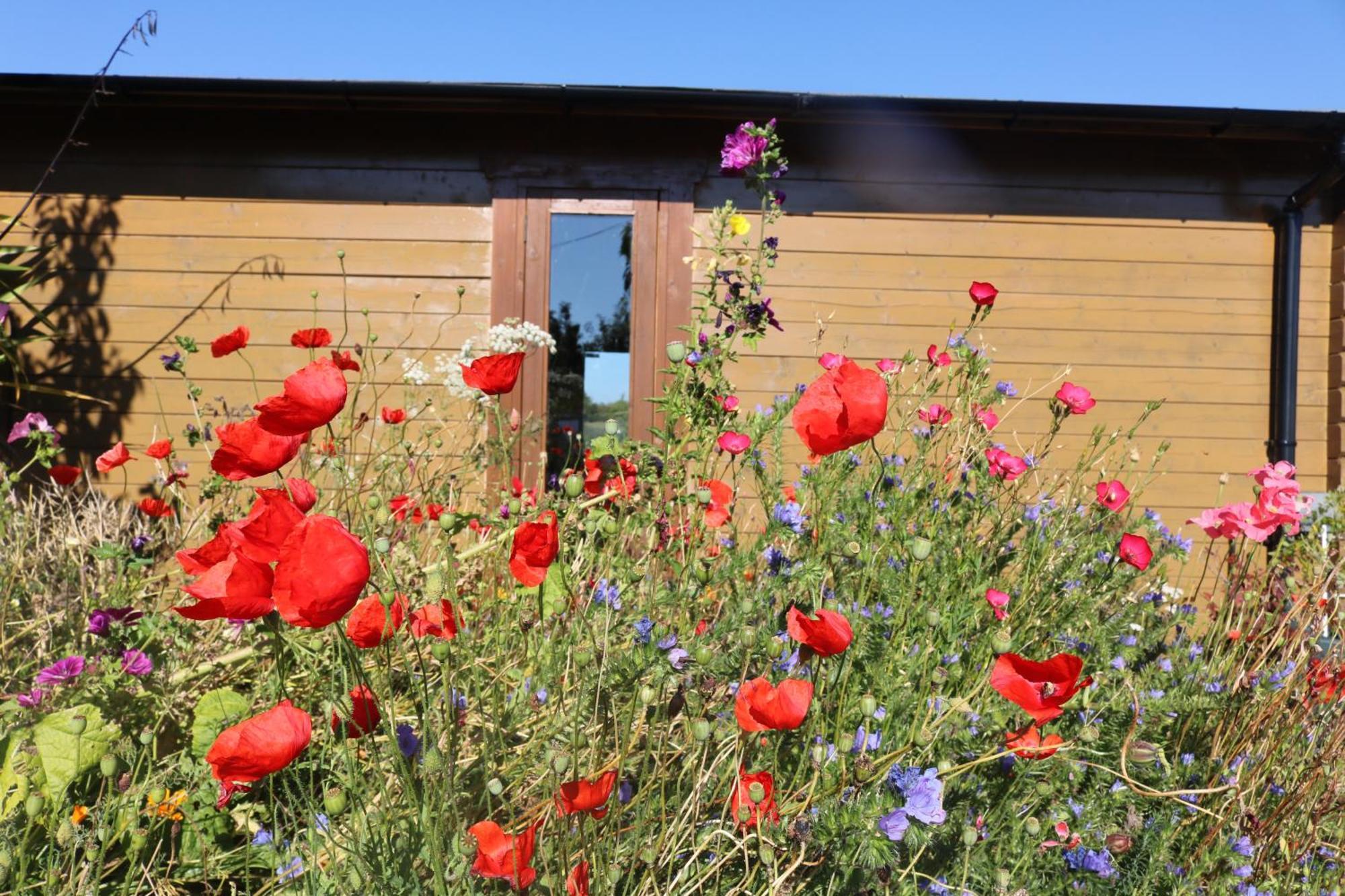 The Cabin Pipershill Newtownbutler Eksteriør bilde